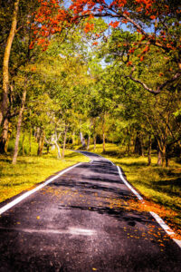 aditya aashish br hills road