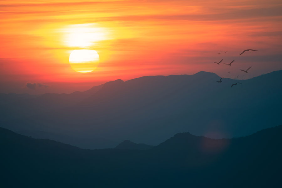 aditya aashish chikmagalur mullayanagiri