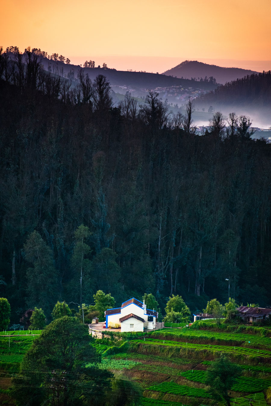 aditya aashish ooty hills