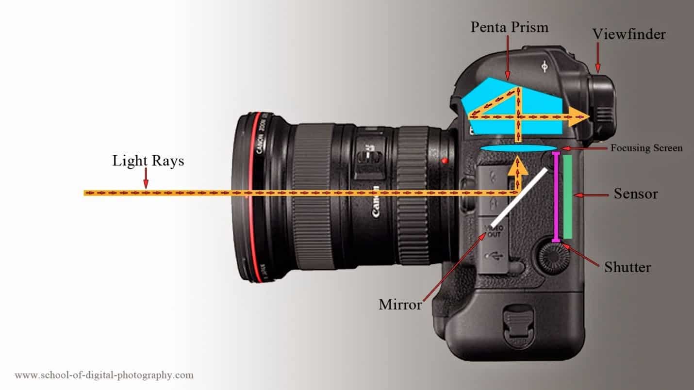 DSLRs what are they, and how do they work? Aditya Aashish Photography